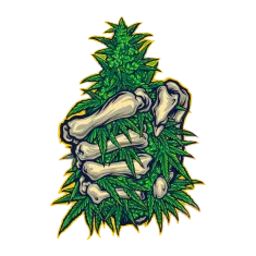 image 18-PhotoRoom (1) 3