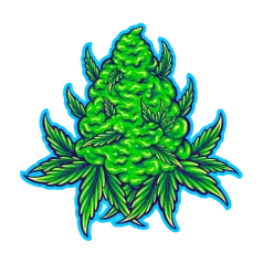 image 19-PhotoRoom (1) 7